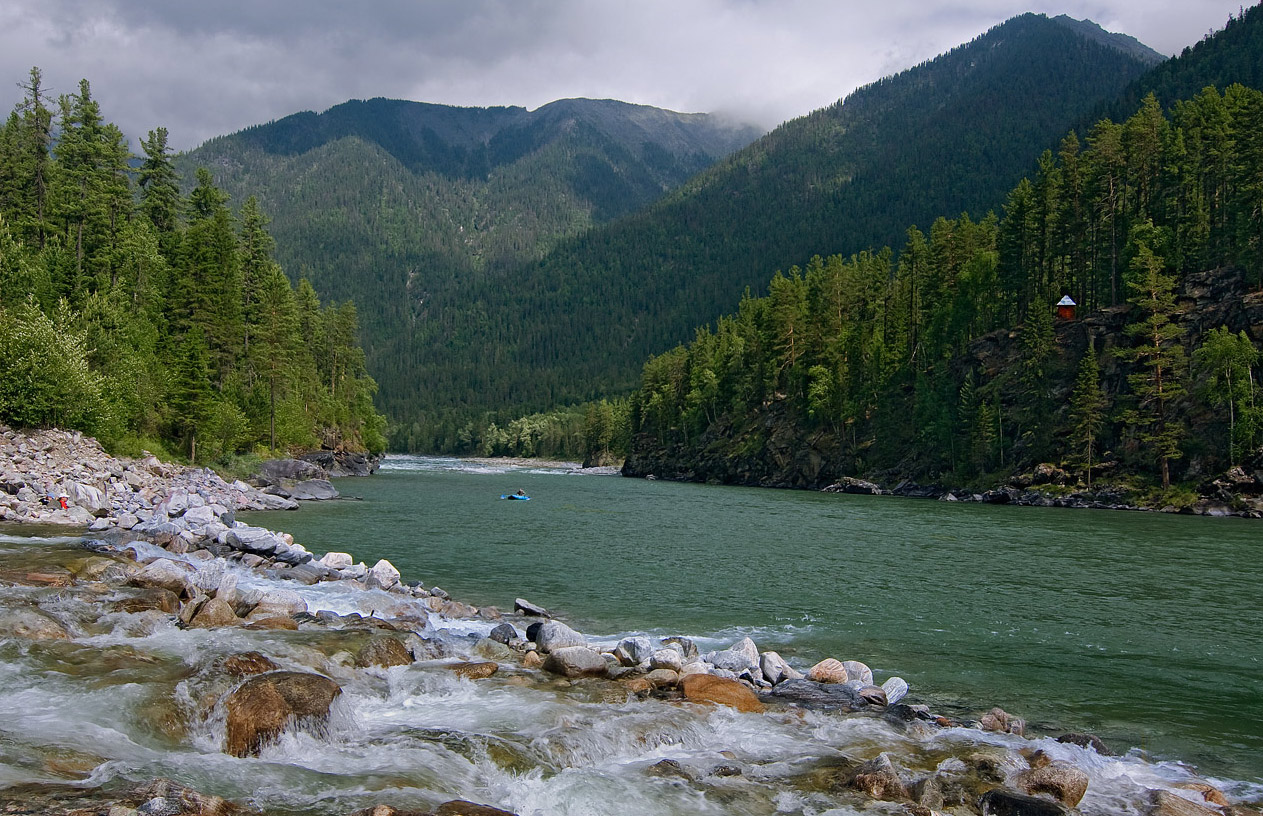 ���-��� � ����� 