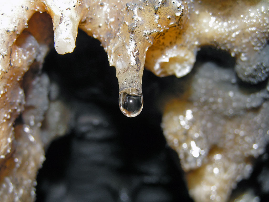 ����� ������