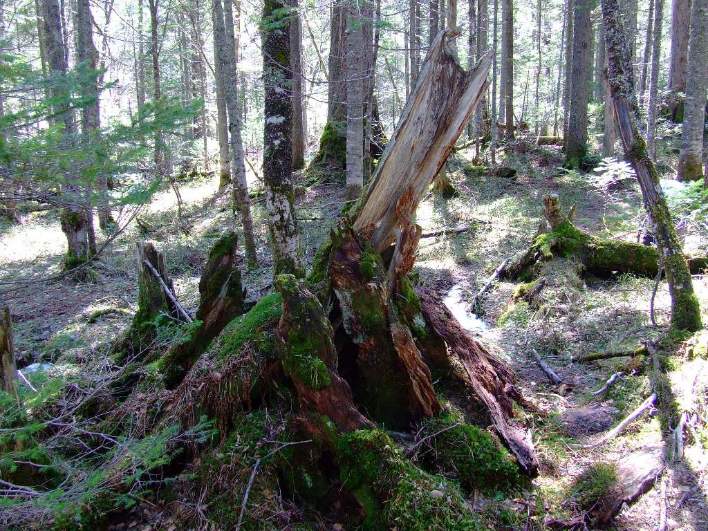 ������������� ���