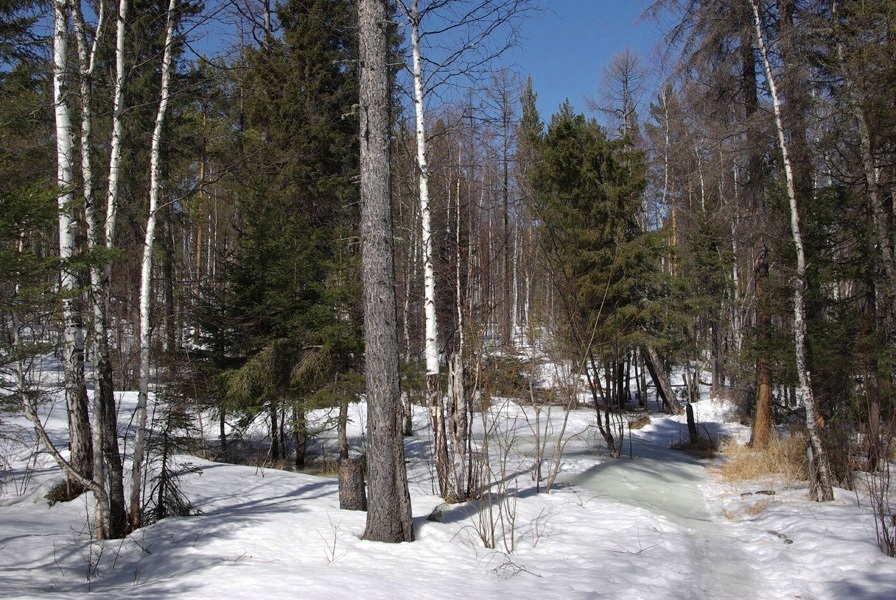 ������� �����