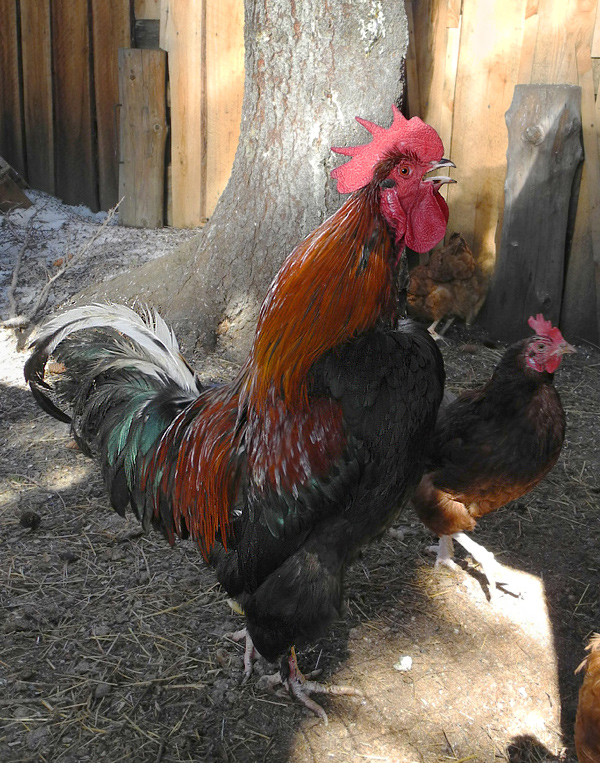 ��������!!!