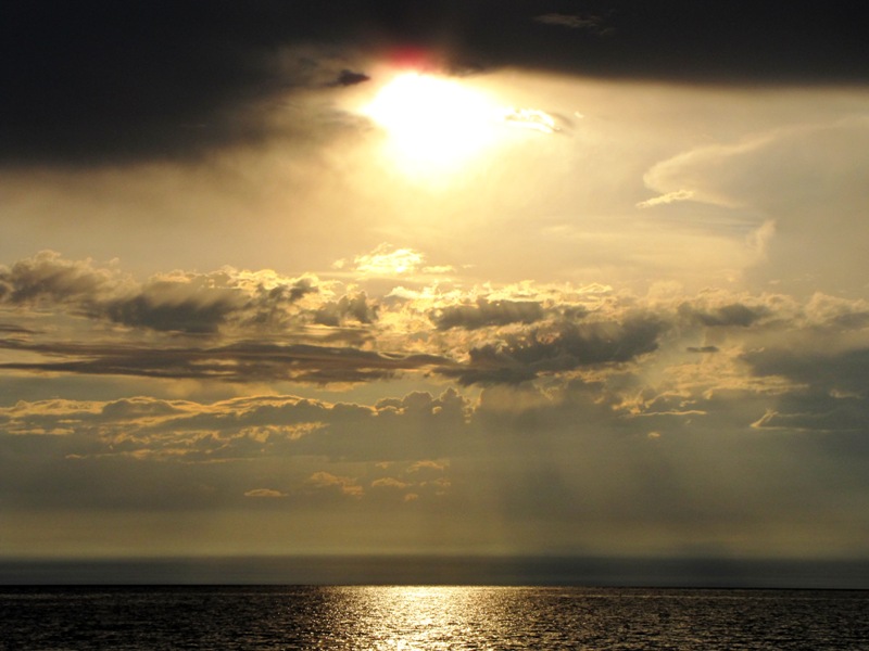 ��������������� ������ � ���� �����