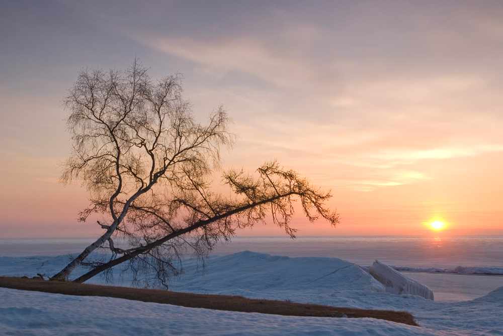 ���� �����