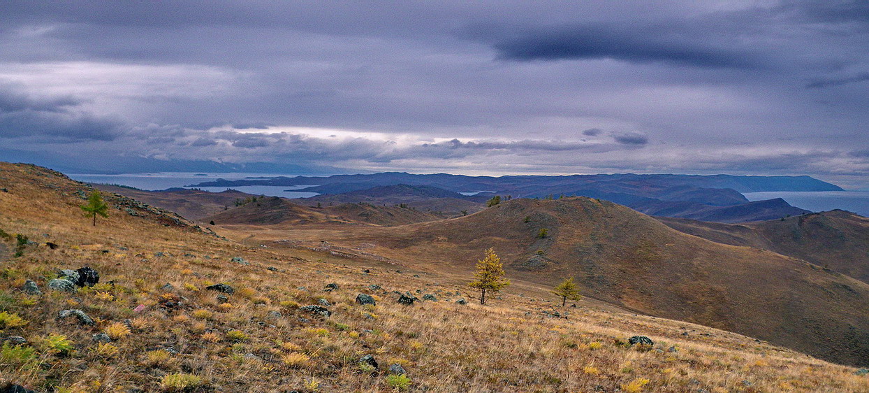 ����� ��� �������� - �����, ������� � �����.