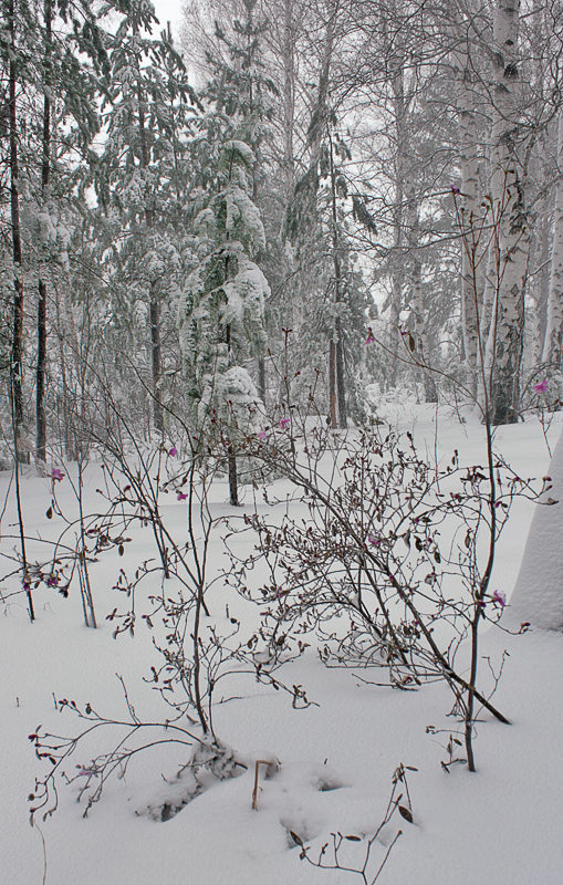 ��� ���, ��� ���������� � ��� �� 1 ��� - 2