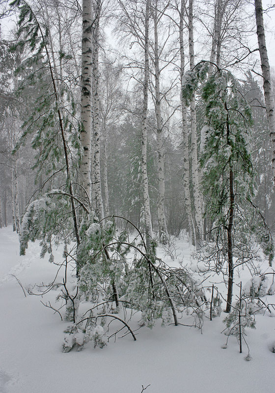 ��� ���, ��� ���������� � ��� �� 1 ���