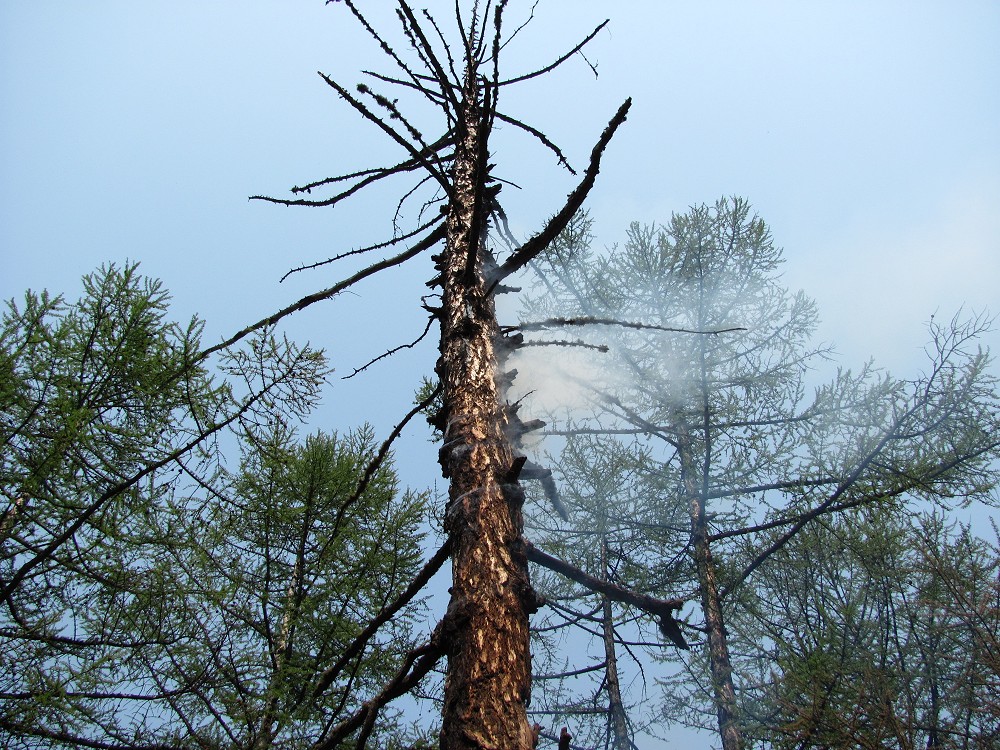 "������������" ������ ���� ... 