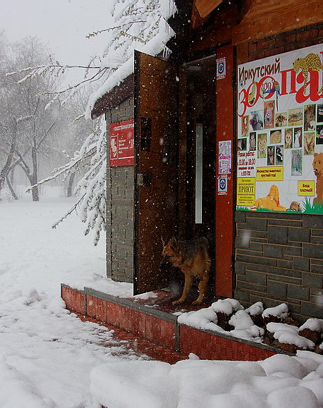 ��������� � �����...