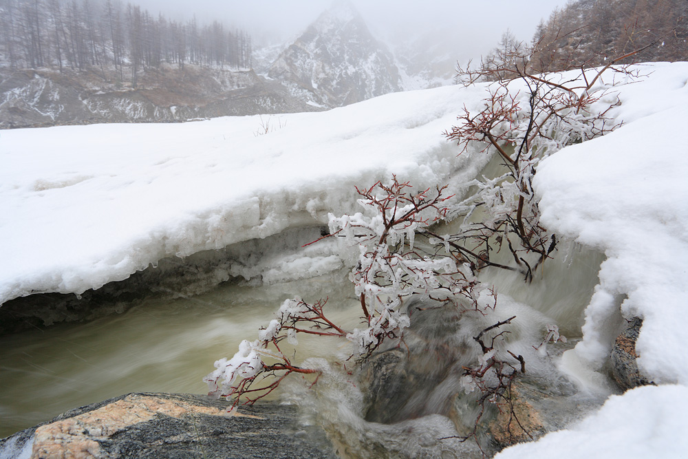 ������ �� �����