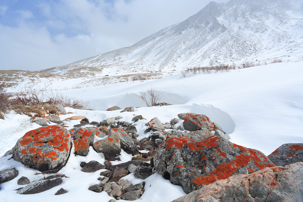 Финляндская горячие камни. Термальный камень. РАСКАЛЕННЫЙ валун. Камни накаленные. Горячий камень в природе.