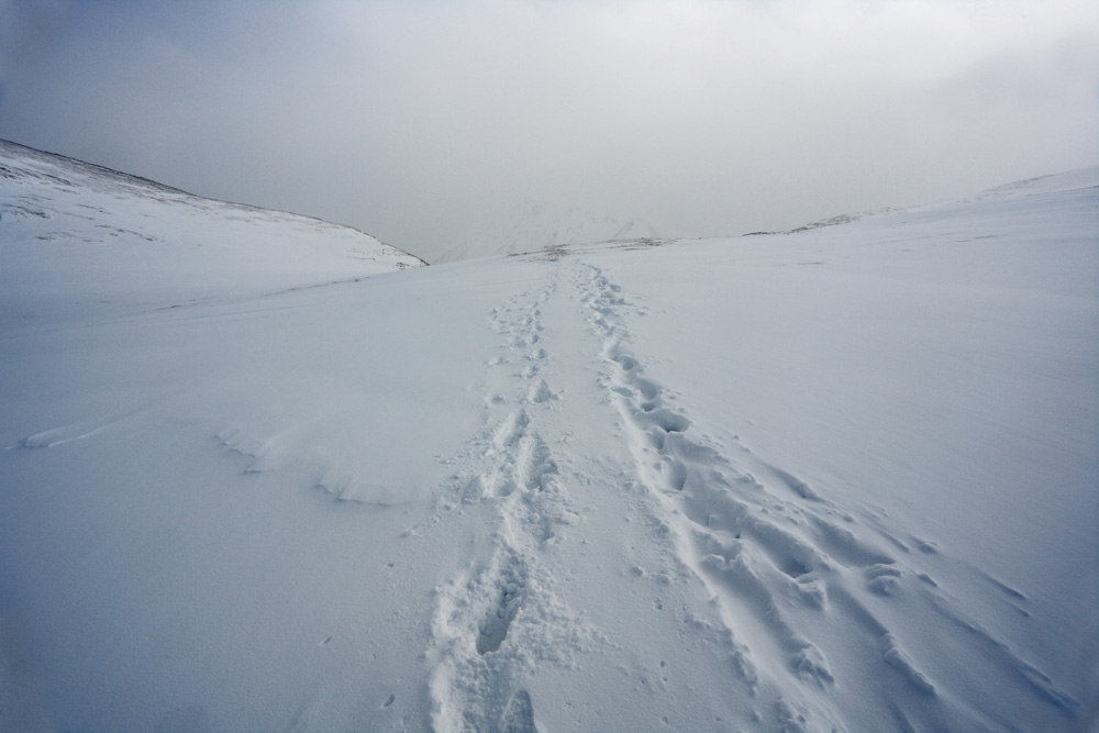 ������������� ������� "����������"