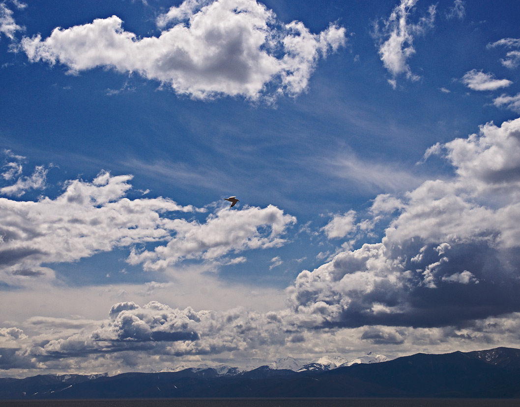 � ������������� 8-�� ��� (2)