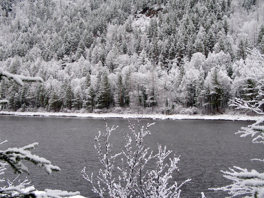 ����� ������� ���������