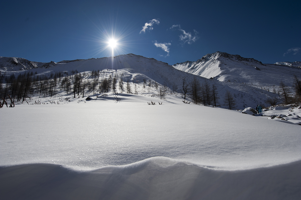 ������...