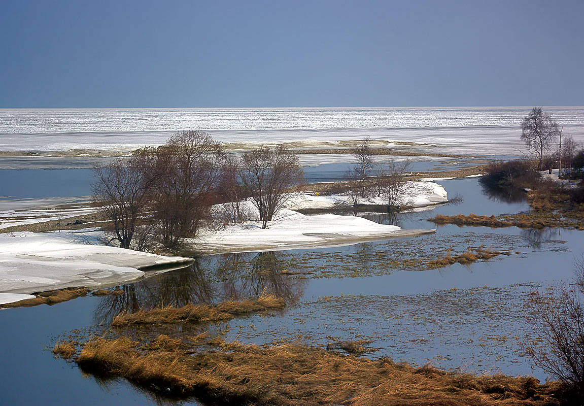 ����� ���� �����