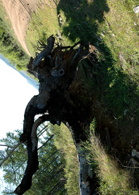 ��������, ��������� �����