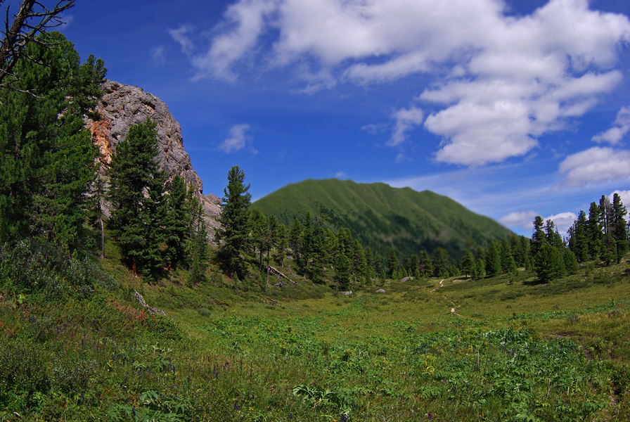 ������ ������