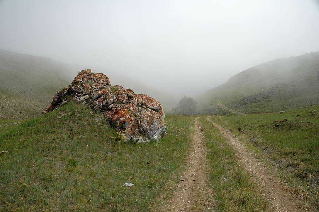 ������ ������