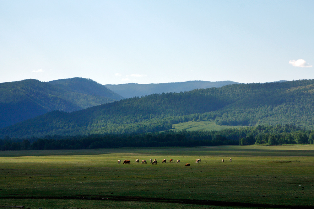 � ���� �����