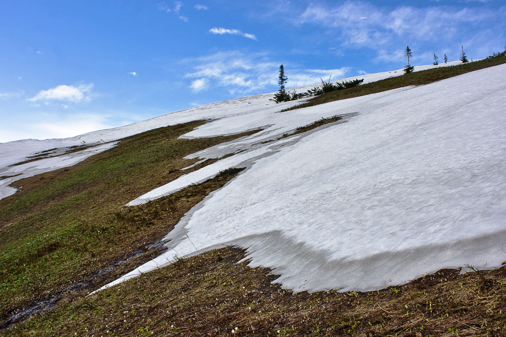 ���� ���������