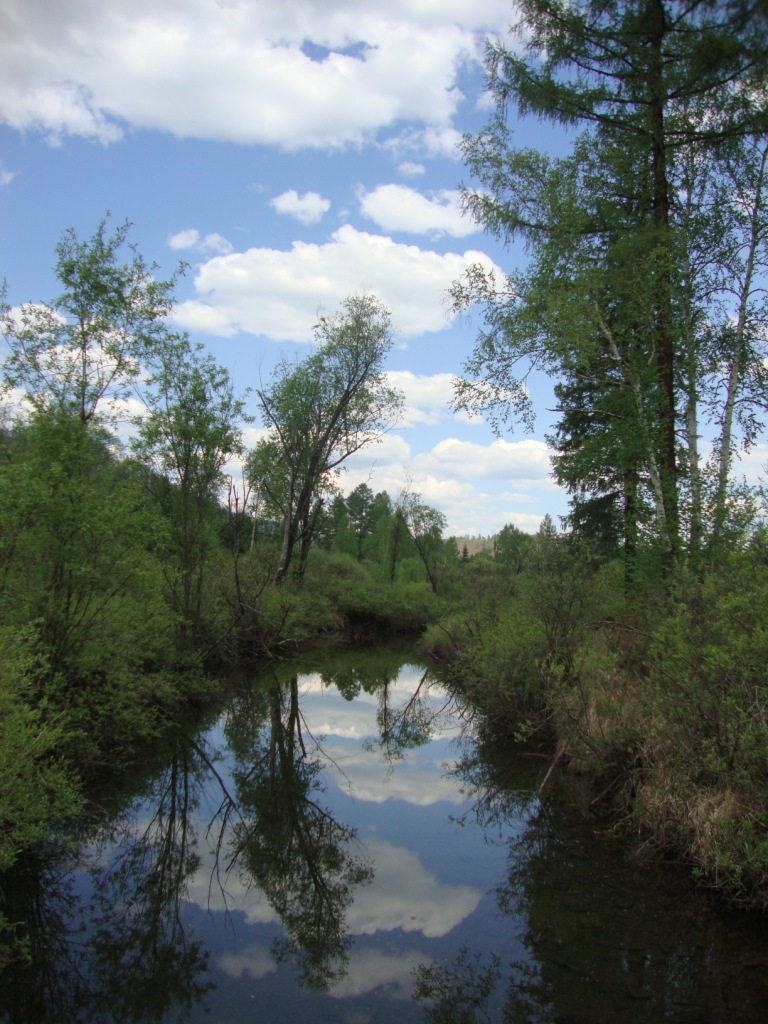 ����������� � �������.