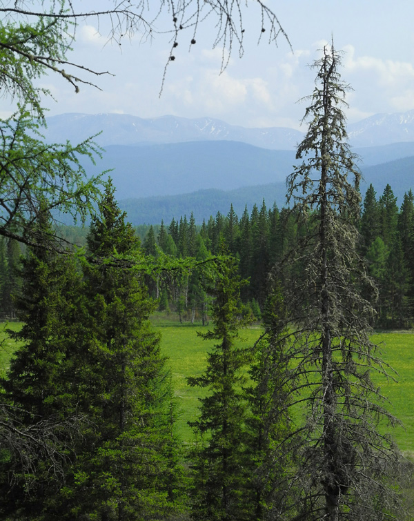 ��� � ���� :-)