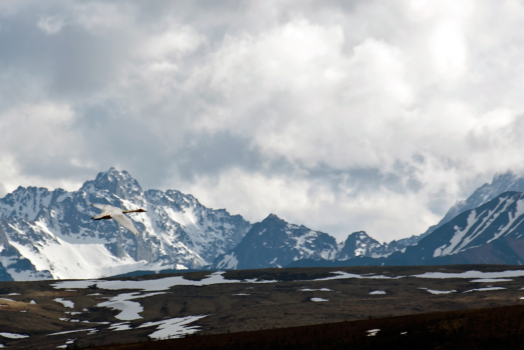 ���� �� ����...