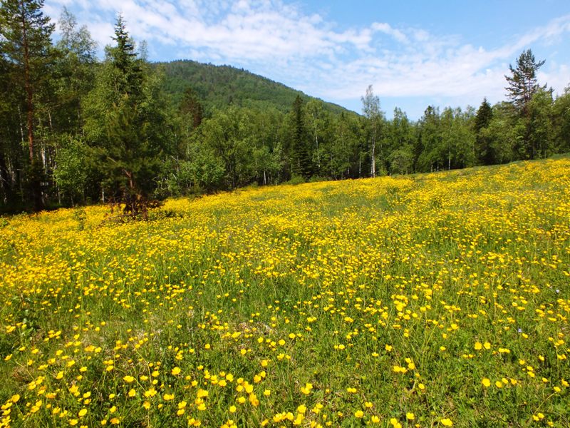 ��������� ������