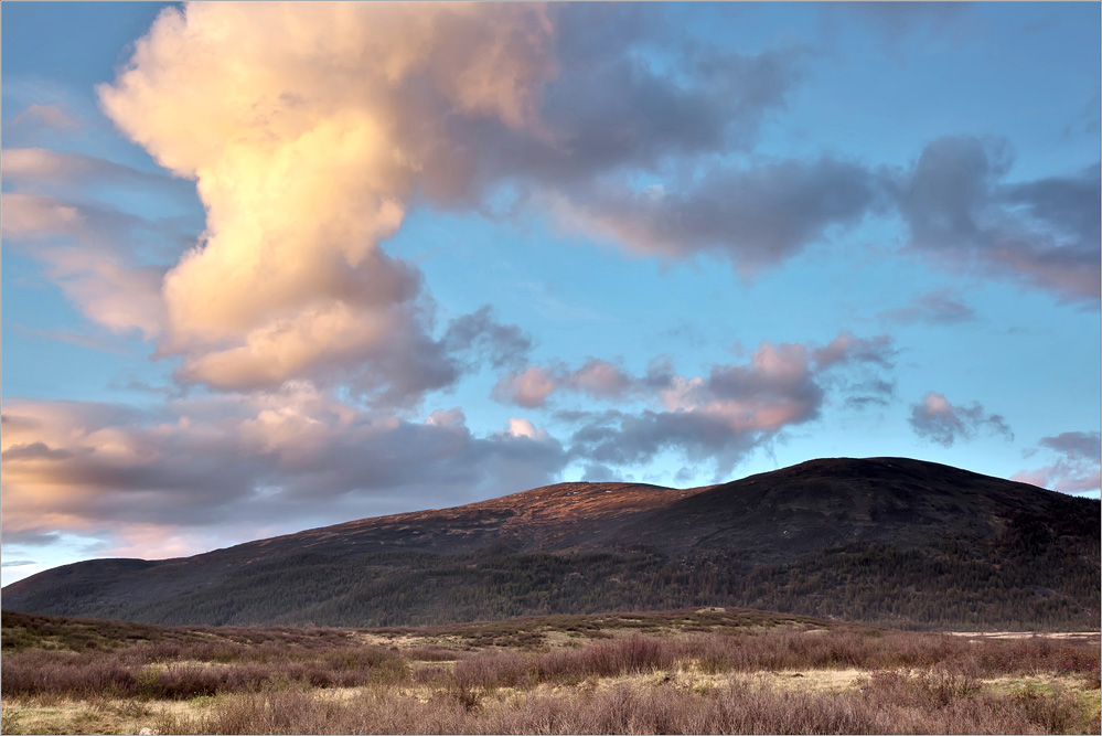 ������ ������ � �������