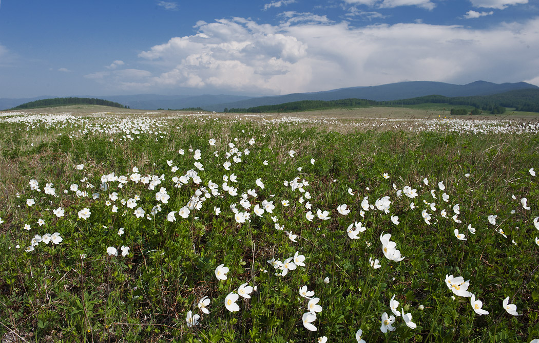 ���������� �����...