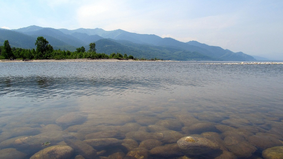 ������...