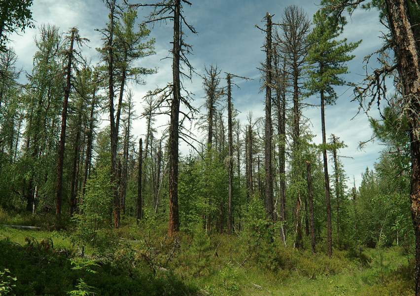 ����� � ������