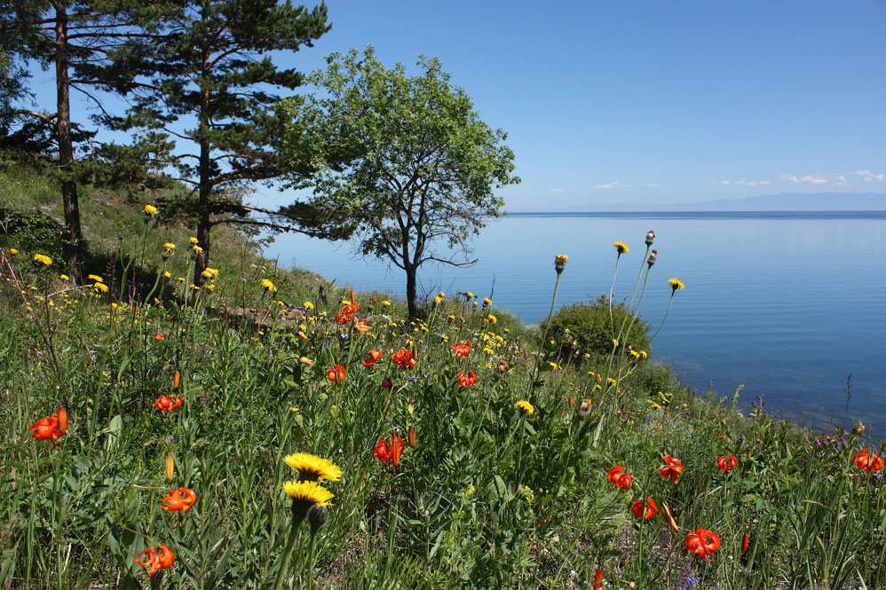 ������� ��������� ����.