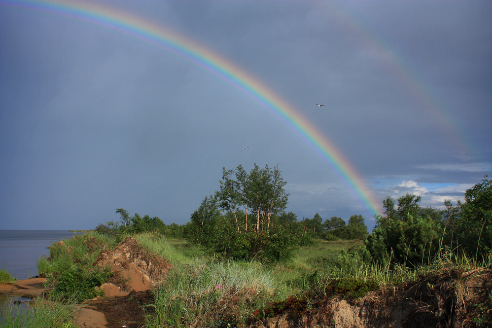 ����� ��������.