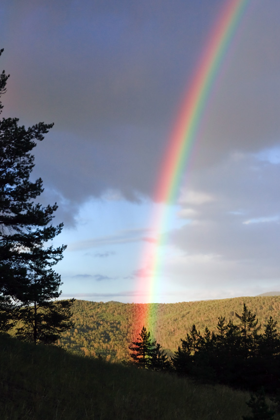 ������ �� ����