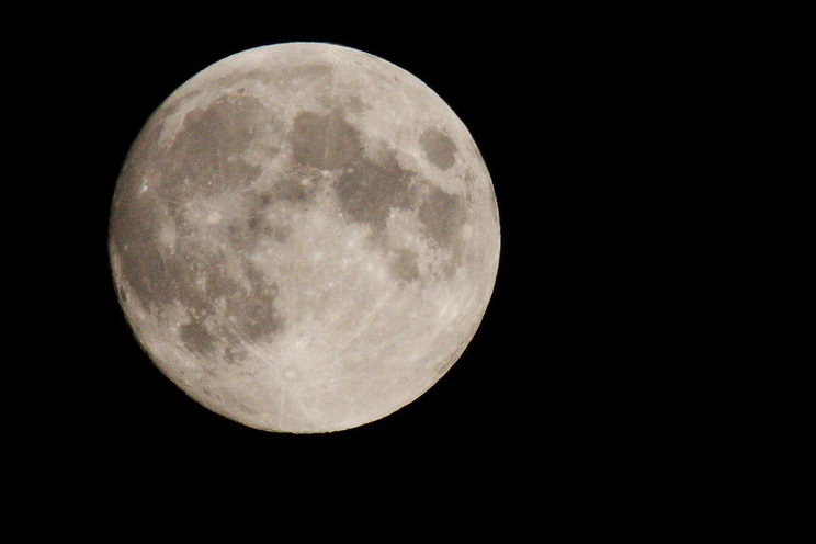 ������ ����������