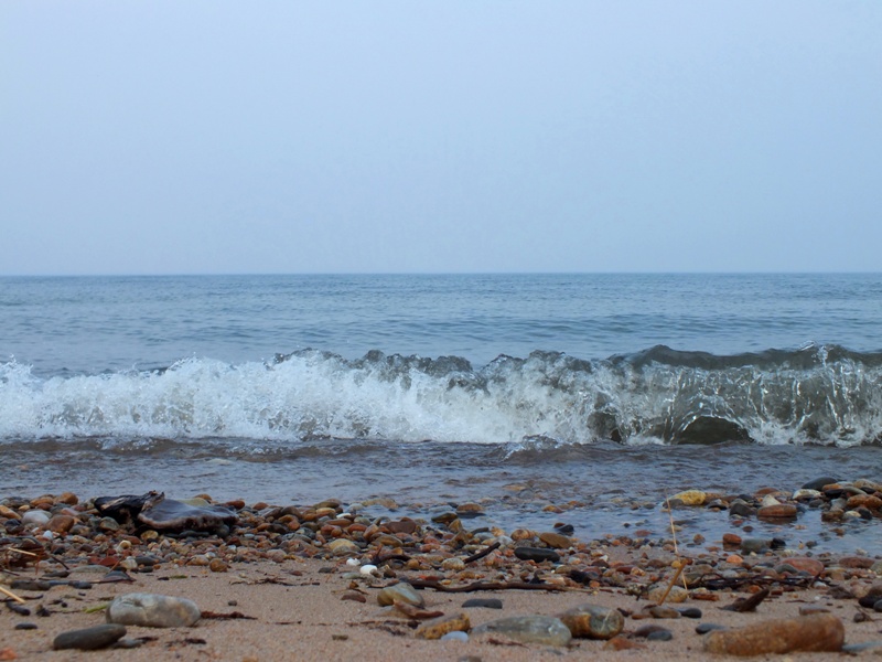 ����������� �����