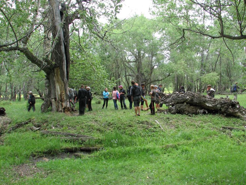 � �����-��������� ���� � ������ ����������