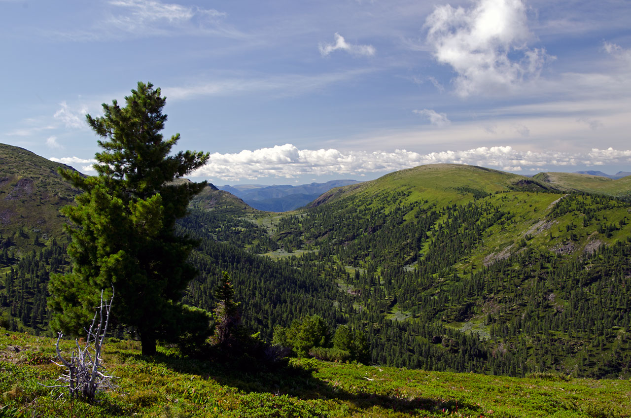 ��� �� ������� ������