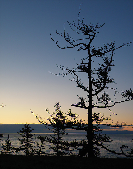 ���������� ������