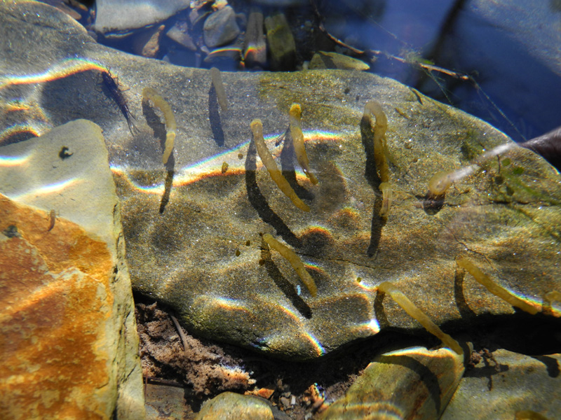 ��� ����� � �����?