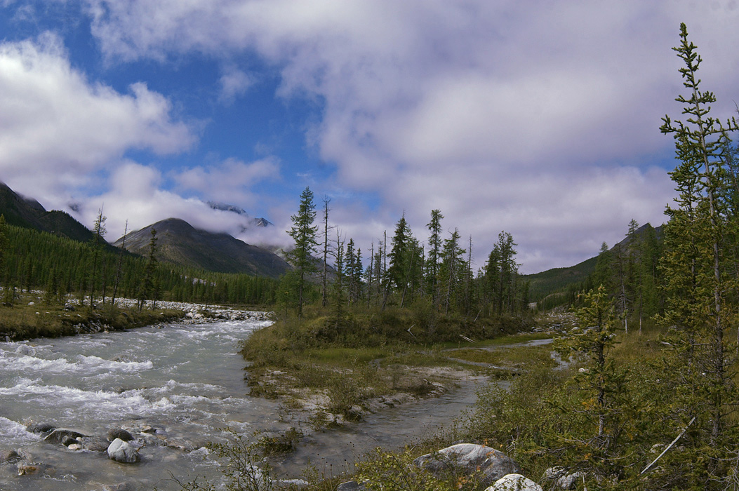 ������ ������������