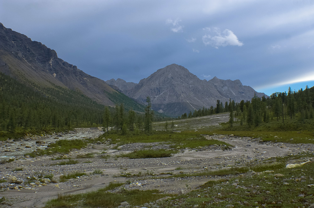 ��� ��������