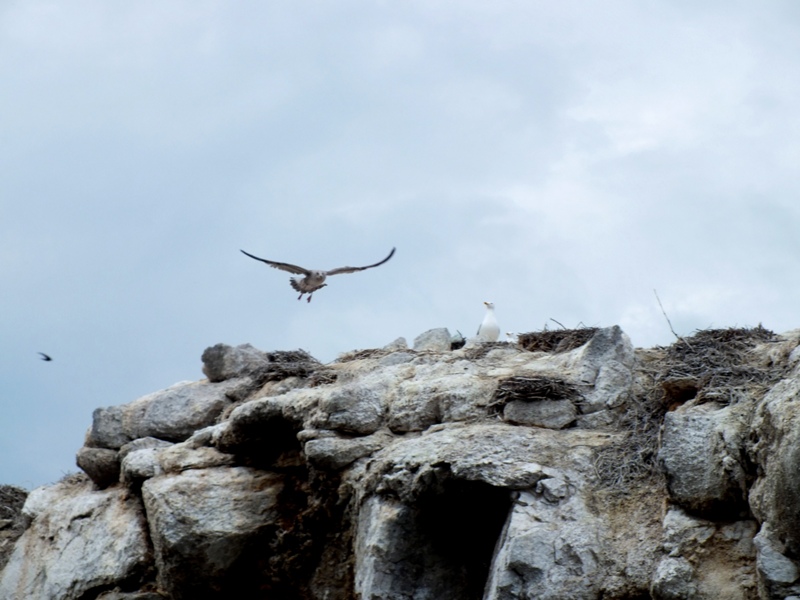 ������� � ������� �����