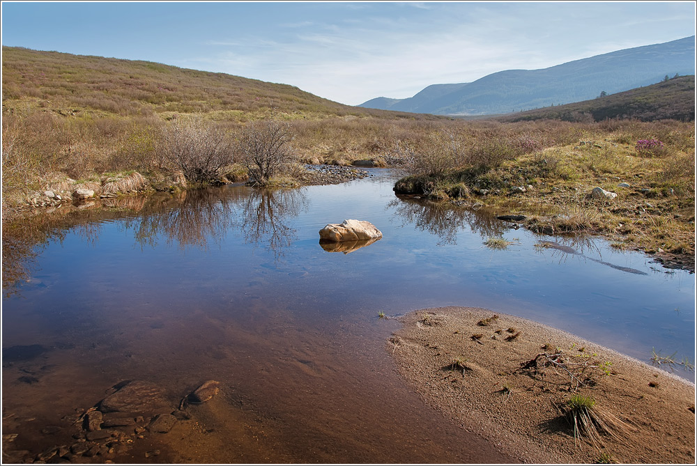 ������ �.������