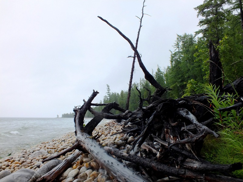 ������� ����