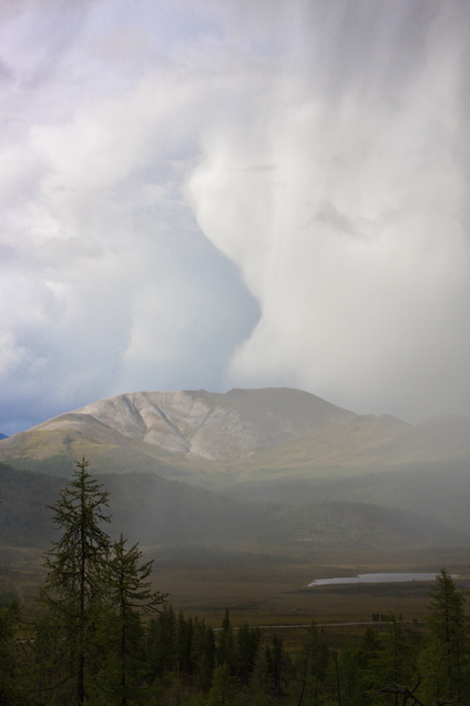 ����� ��� �������