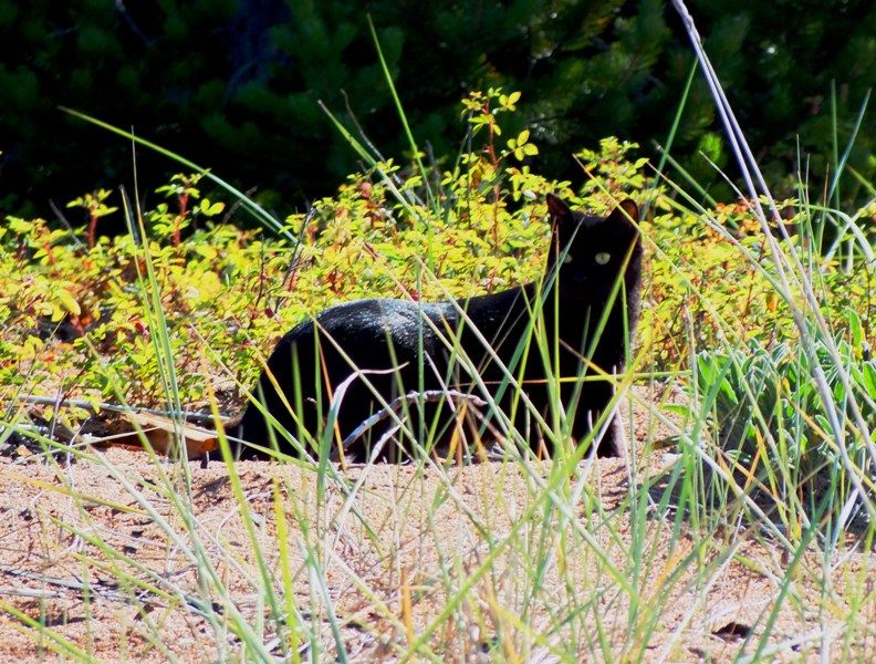 ������������ ���