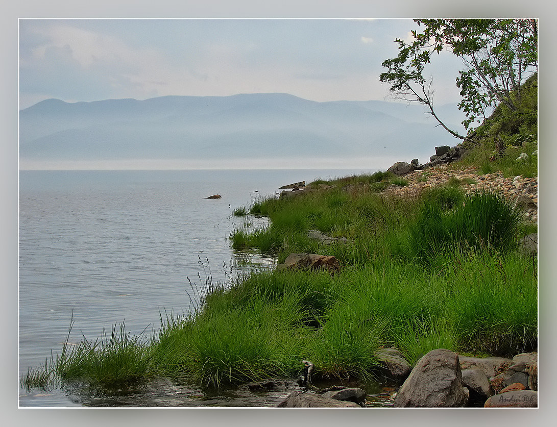 � ������ ��� ������� �����.