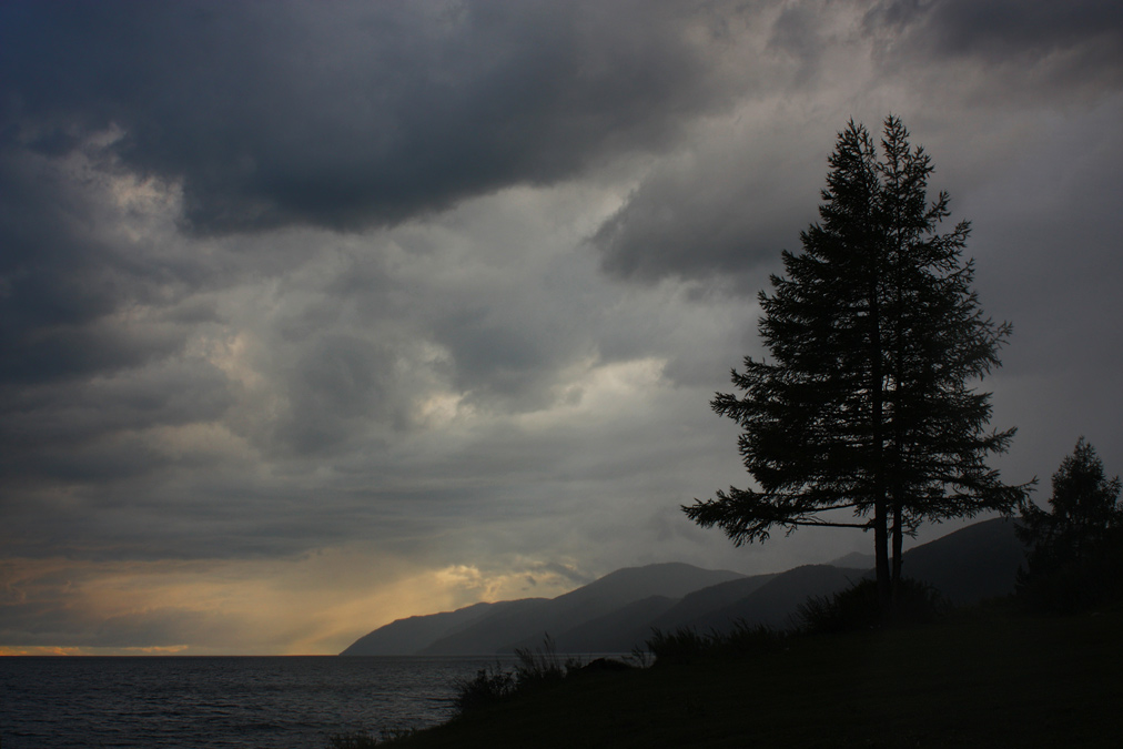 �������� �����.